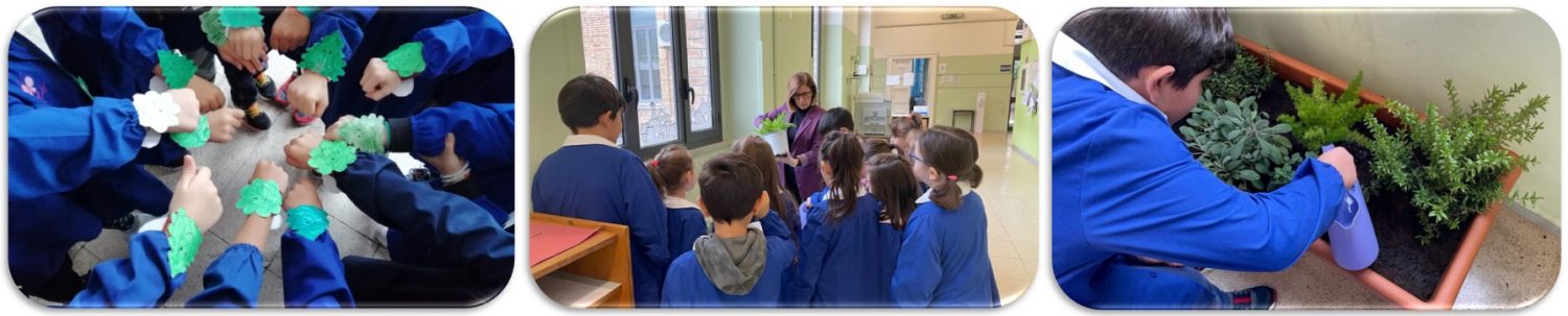 Istituto Comprensivo “Minozzi-Festa”